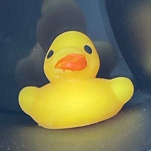 Meet your Posher, Cesar